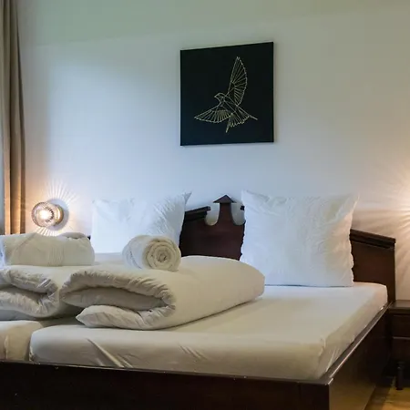 International House Deluxe Zw 13 * Solden